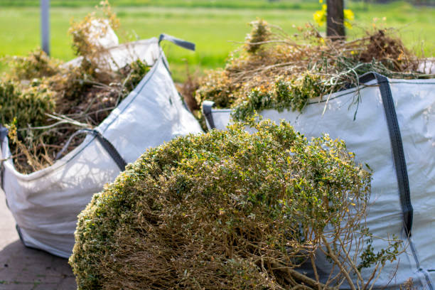 Trash Removal Near Me in Princeton, TX