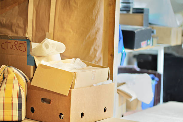 Best Office Junk Removal  in Princeton, TX