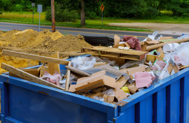Yard Cleanup Services in Princeton, TX